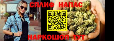 a pvp Славгород