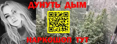 a pvp Славгород