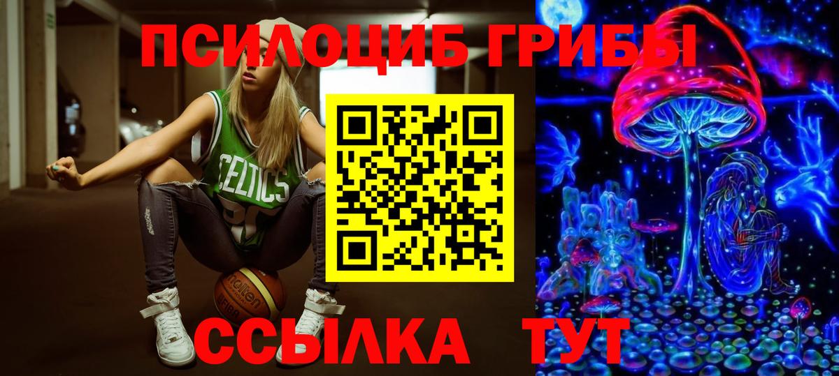 Галлюциногенные грибы Psilocybine cubensis Павловский Посад