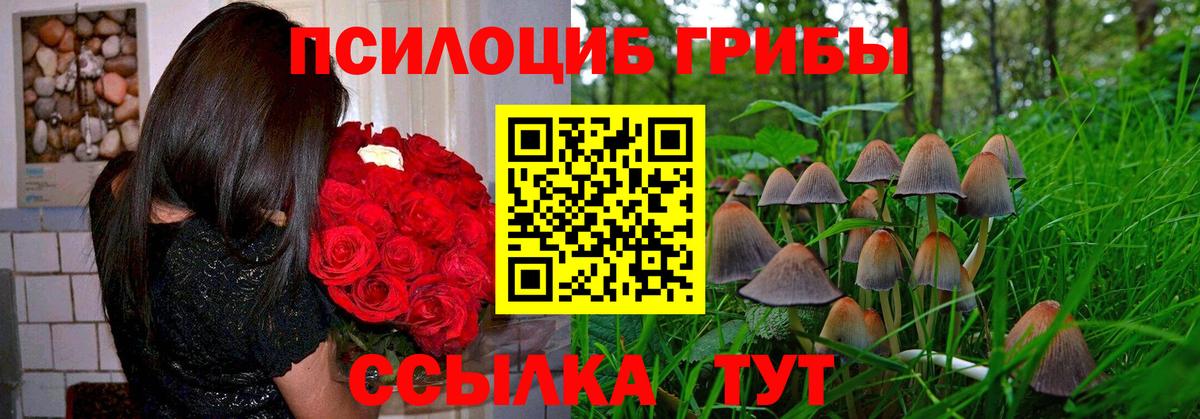 Галлюциногенные грибы Psilocybe  купить наркотик  Павловский Посад  Вход с VPN 